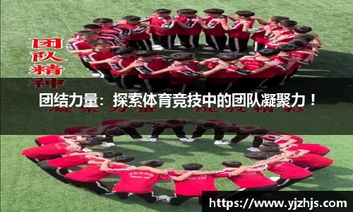 豪门国际